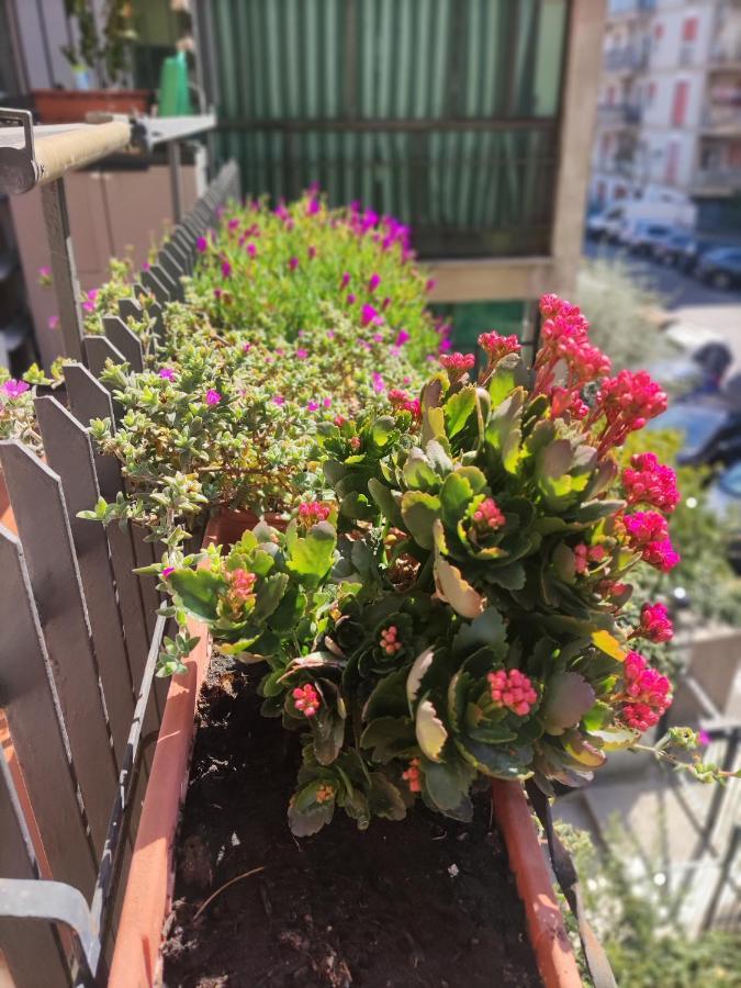 La Casa Dei Nonni Appartamento Roma